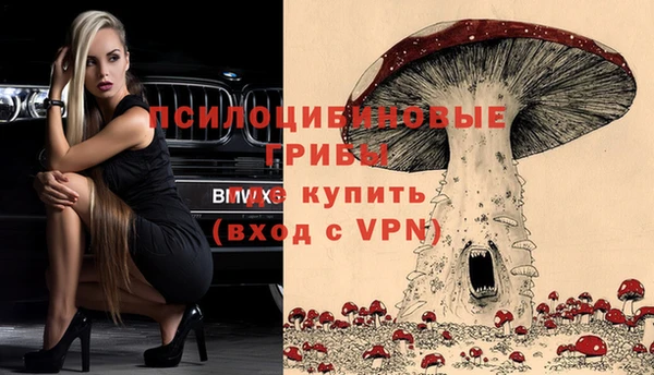 ECSTASY Алзамай
