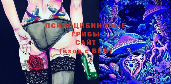 прущие крисы Алексеевка
